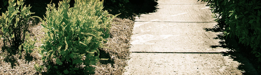 手机号测压网站